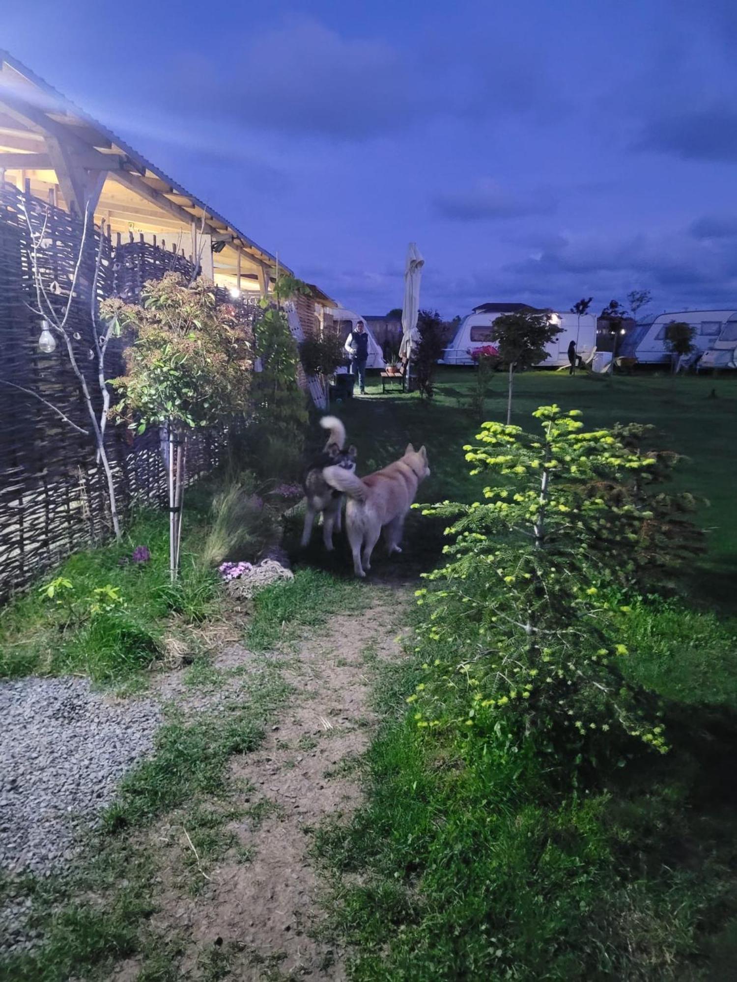 Camping Makeeda Vama Veche