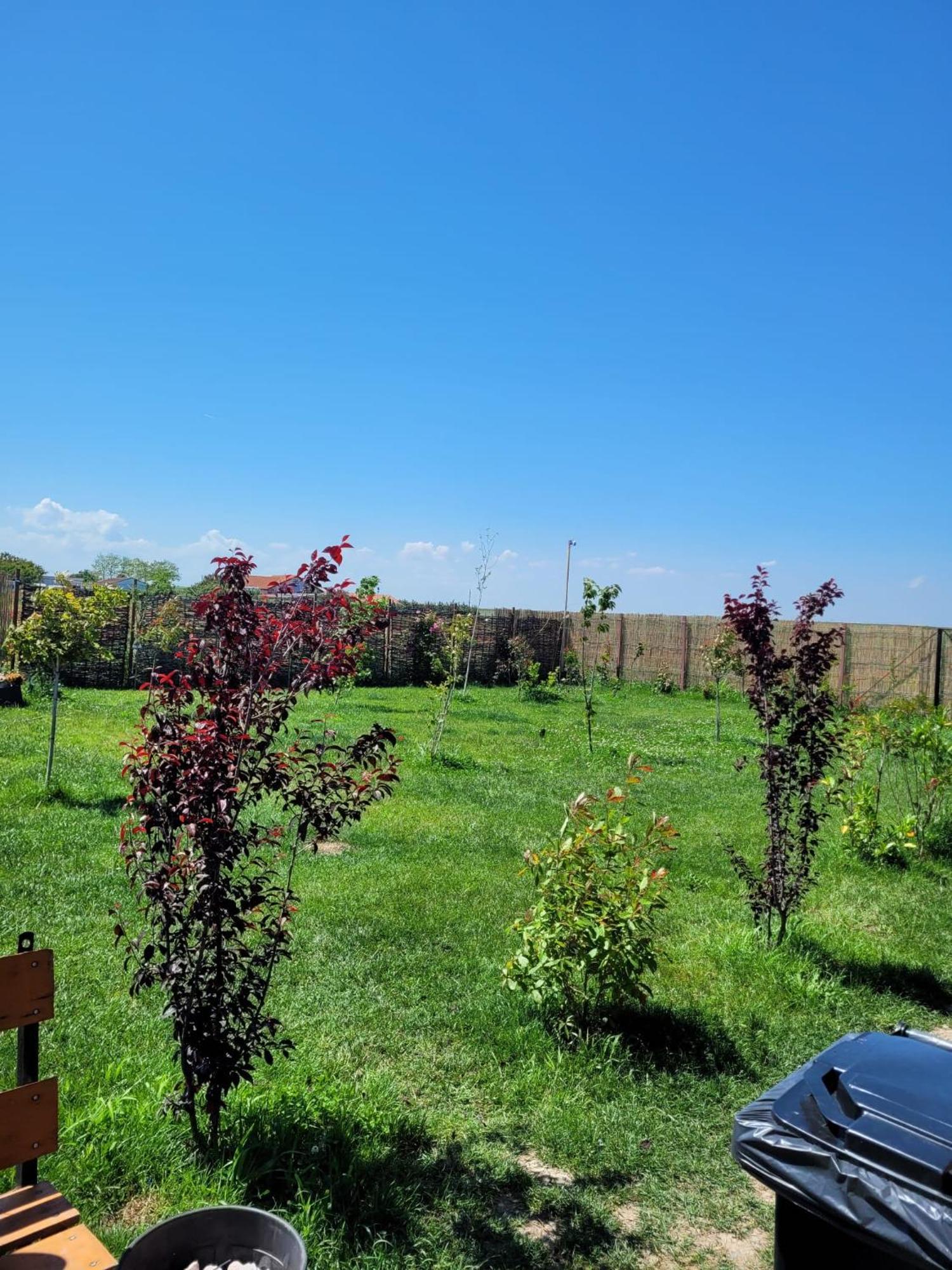 Makeeda Camping Vama Veche