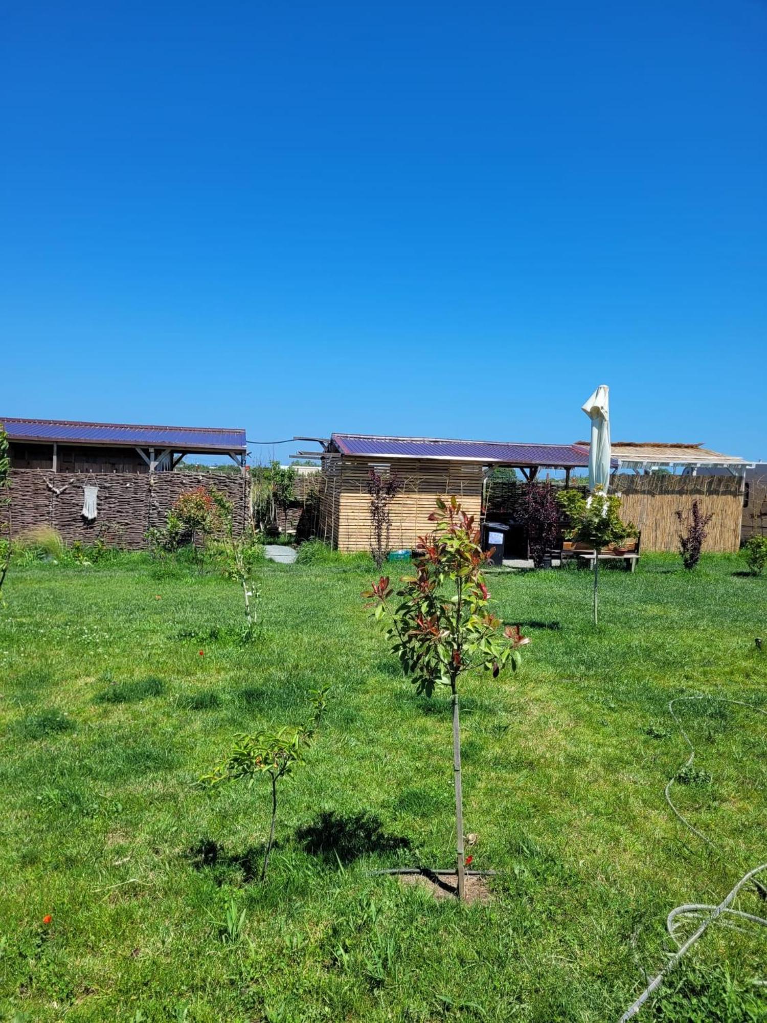 Makeeda Camping Vama Veche