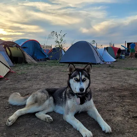 ואמה וקה Makeeda Camping מראה חיצוני תמונה