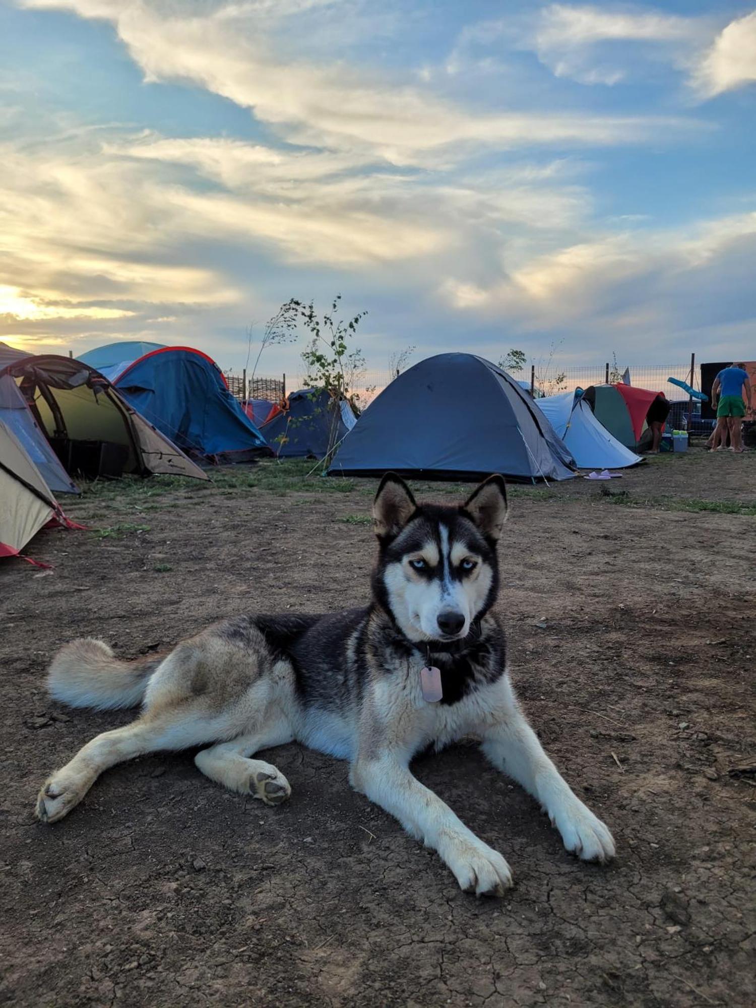 Campsite Makeeda