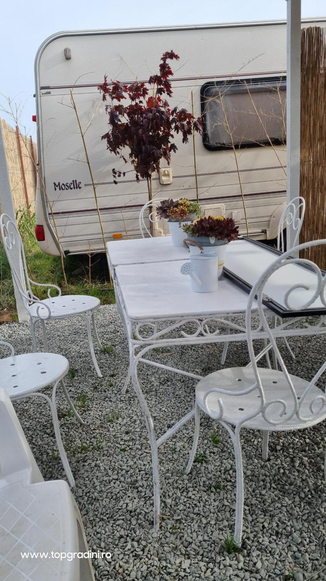 Makeeda Campsite Vama Veche